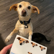 Load image into Gallery viewer, Rico Sticker Sheet