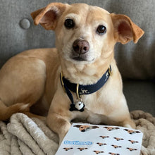 Load image into Gallery viewer, Rico Sticker Sheet