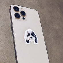 Load image into Gallery viewer, Bailey Sticker Sheet
