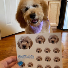Load image into Gallery viewer, Nova Sticker Sheet
