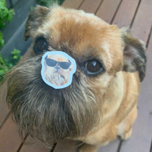 Load image into Gallery viewer, Howard and Ned Sticker Sheet
